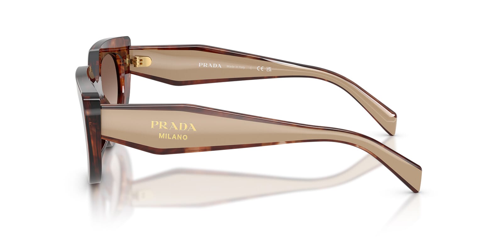 Square Sunglasses